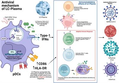 Overview of anti-viral effects of probiotics via immune cells in pre-, mid- and post-SARS-CoV2 era